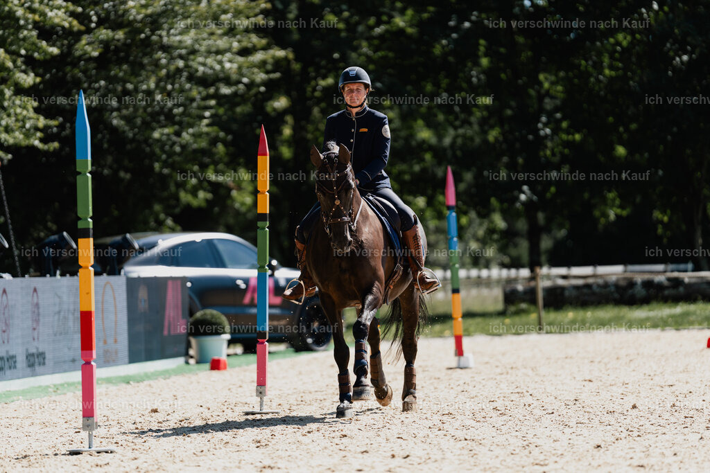 Mirjam25_FHC2025-08632 | working equitationturnier fotograf videograf stoibphotography marixx film working equitation deutschland reitsport turnierfotografie eventfotografie equestrian events