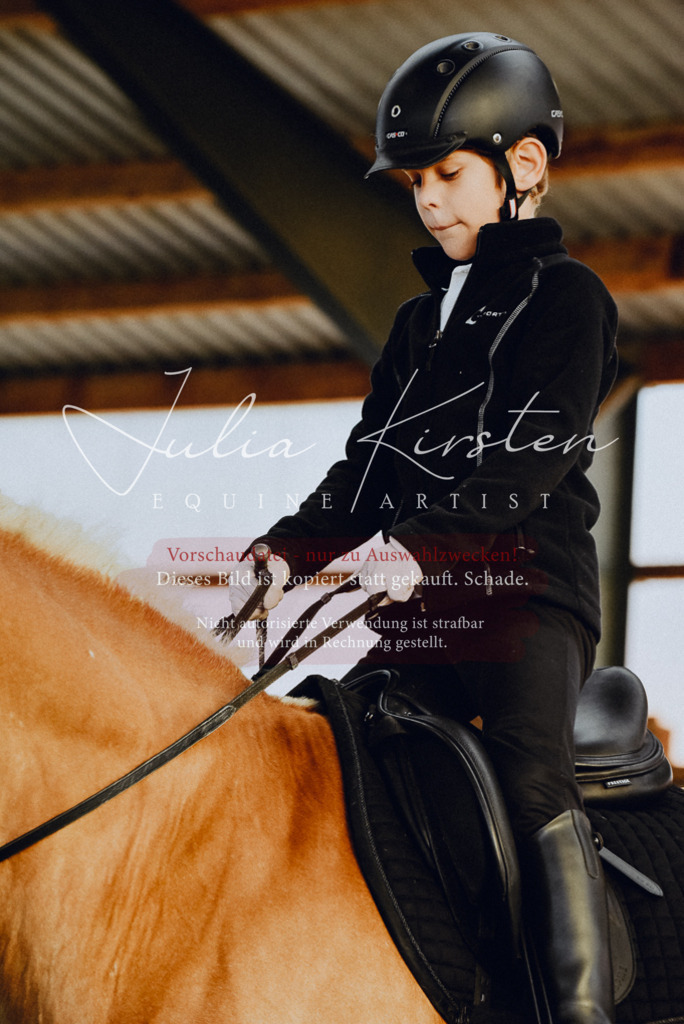 DSC_7362 | Pferde- und Turnierfotografie in Westsachsen. Pferdeportraits, Auftragszeichnungen und intuitive Kunst.