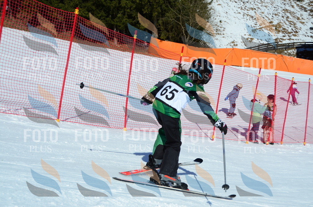 C5435 | holidayphoto