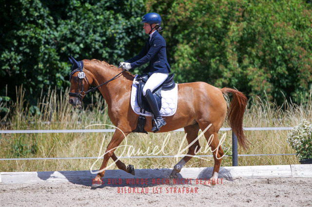 DKP46488 | Turniersportfotografie; Pferdefotografie; Dressurfotografie