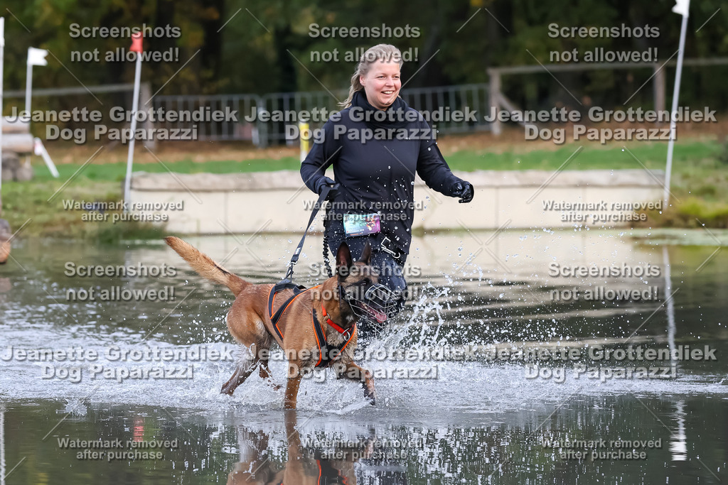 Dog Paparazzi - Strongdog 10-25-6501 | Dog Paparazzi Jeanette Grottendiek Fotografie & Videografie - Realisiert mit Pictrs.com