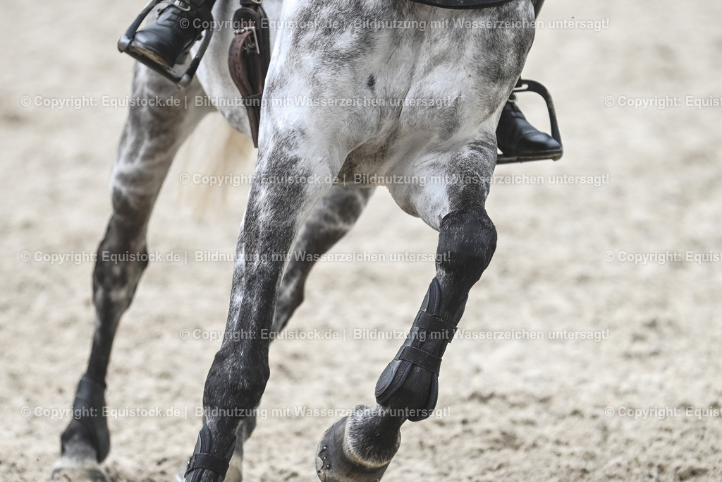 20230514_CCI4_Springen_0207 | equistock