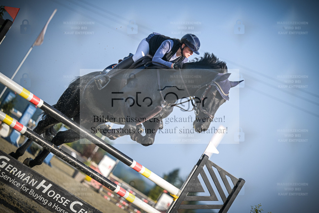 DOS_1505 | Entdecke hochwertige Reitturnierfotos von Foto Oger. Professionell, emotional und authentisch – jetzt Lieblingsmomente im Shop bestellen. - Realisiert mit Pictrs.com