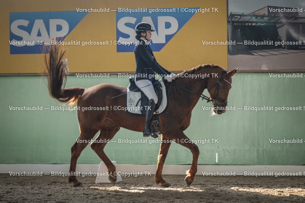 _D5A8533 | Emotionale Pferde- & People-Fotografie rund um Heidelberg, Leimen & Umgebung. Natürliche Fotos von Pferd, Mensch & Familie. Jetzt Termin sichern!