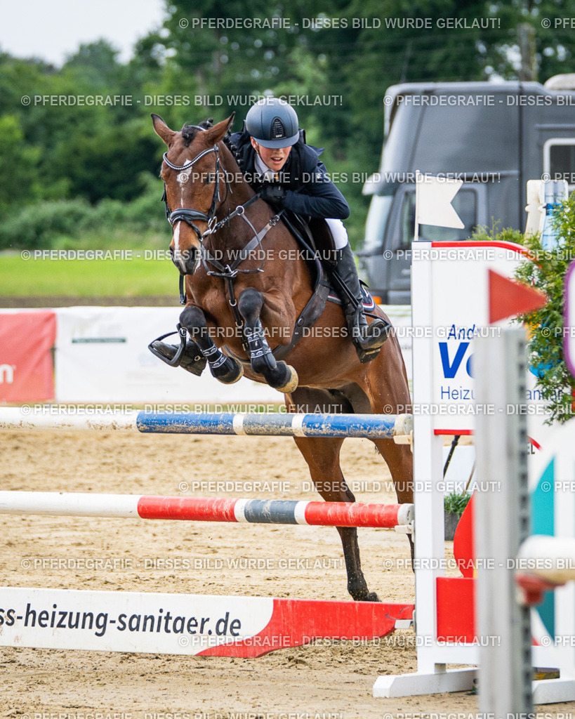 DSC06392 | Pferdegrafie