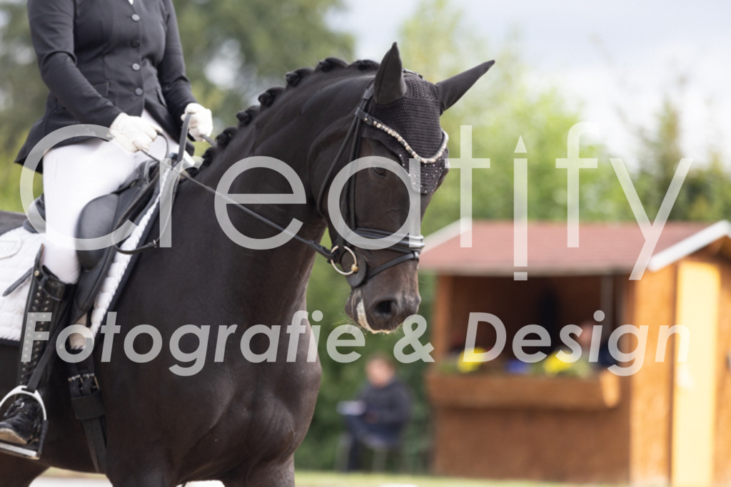 IMG_0833 | Creatify Fotografie