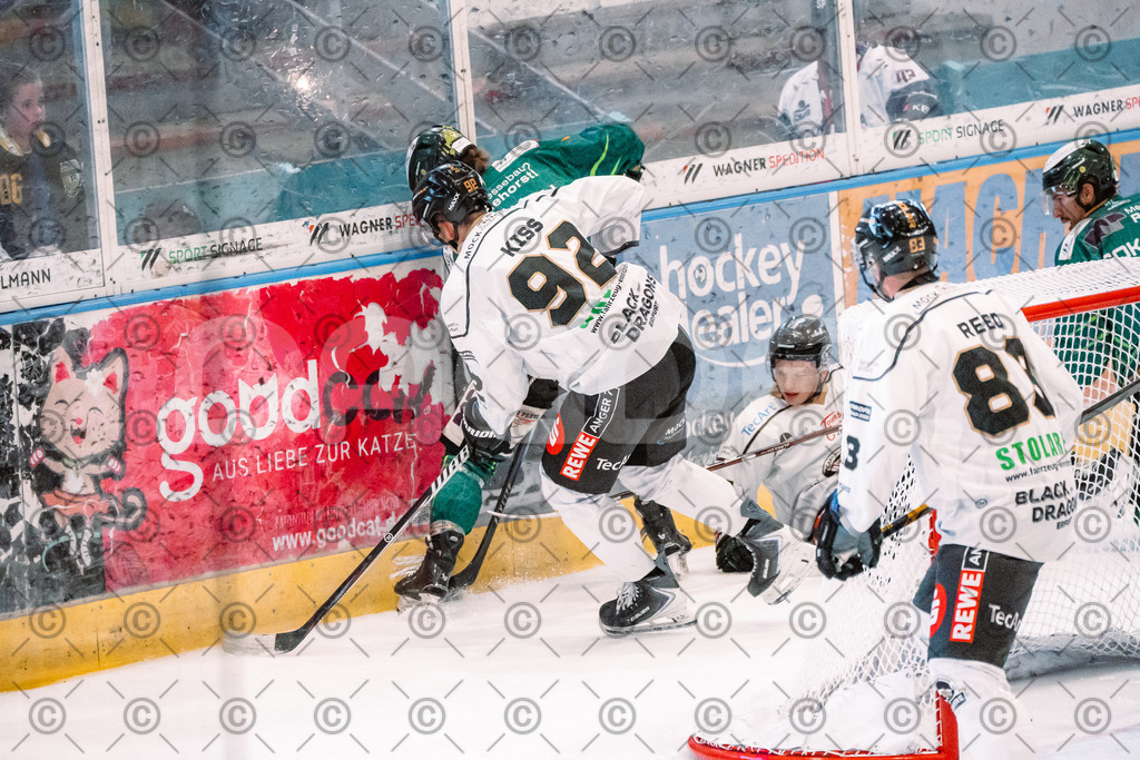 Alligators_vs_Erfurt_06_09_2026-22 | Die Fotogalerie von Daddel: professionelle Bilder von Sport, Events und Unternehmen aus Franken. Jetzt Galerien durchstöbern und Lieblingsfotos bestellen. - Realisiert mit Pictrs.com
