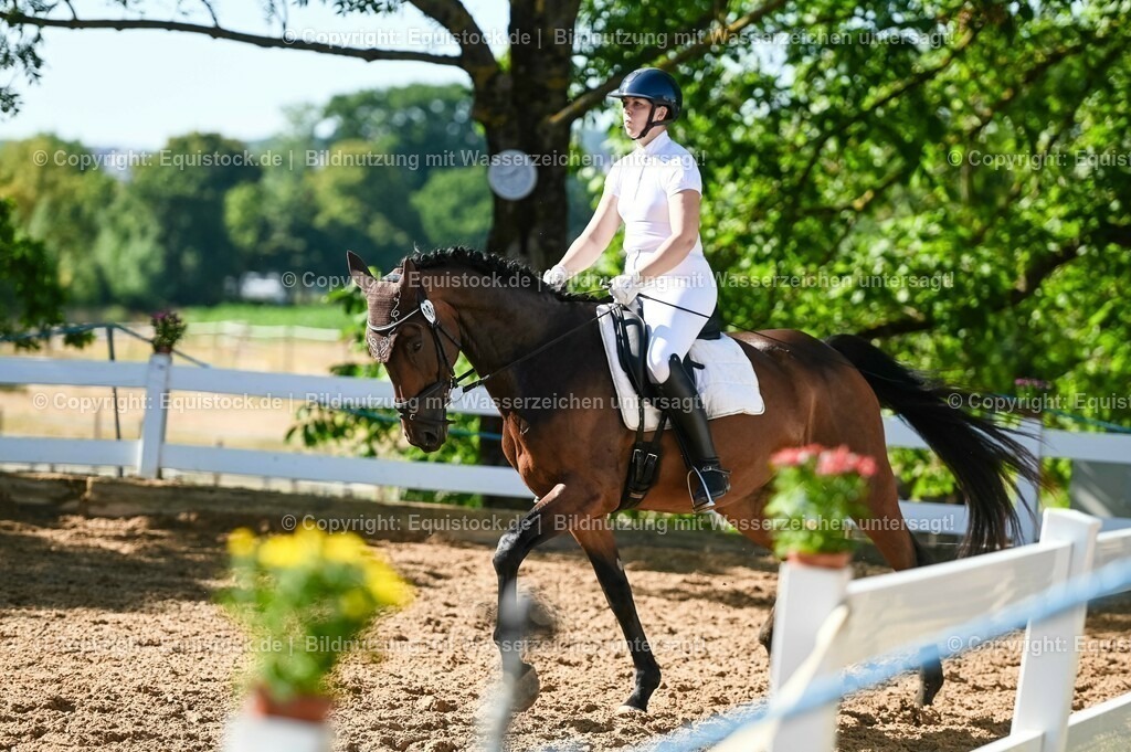 20230715_06_Dressurpferdeprfg. Kl.A_0276 | equistock