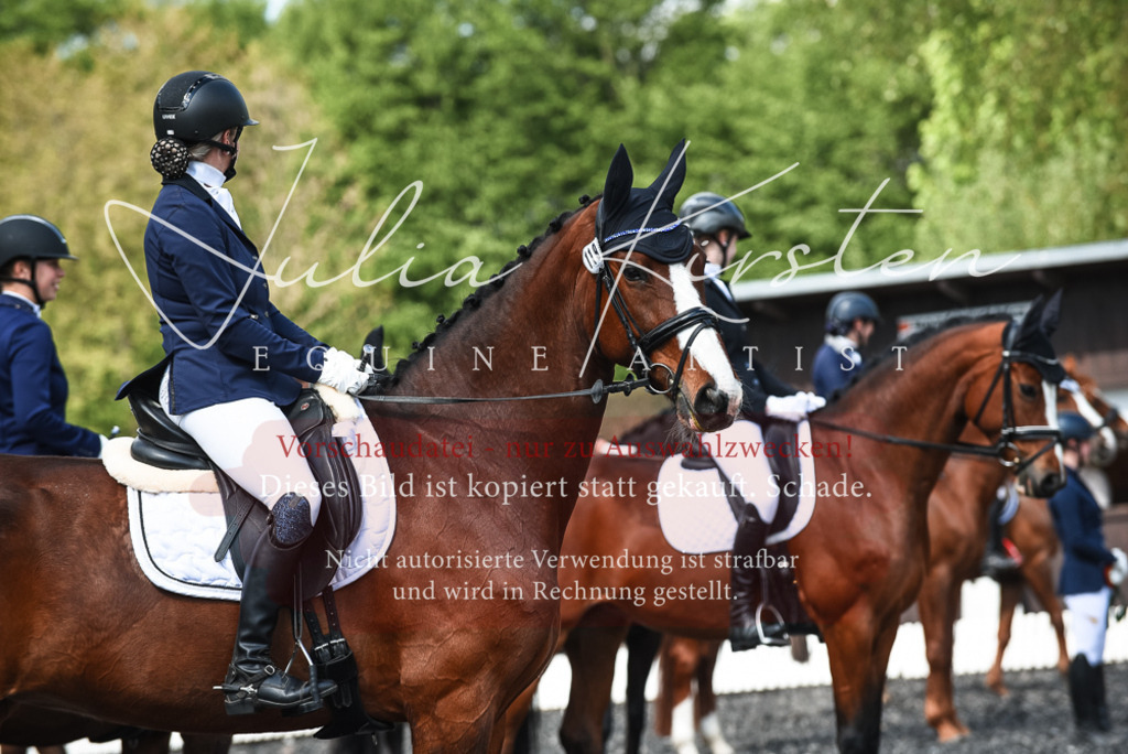 DSC_9081 | Pferde- und Turnierfotografie in Westsachsen. Pferdeportraits, Auftragszeichnungen und intuitive Kunst.