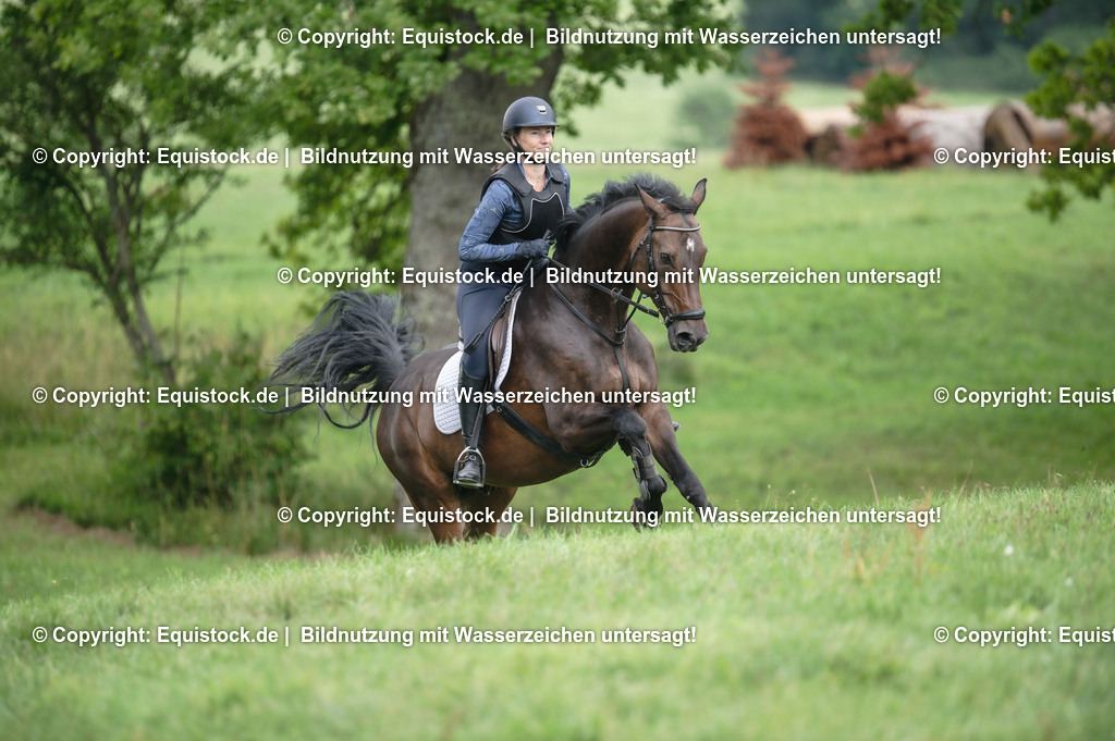 20250726_Vielseitigkeitslehrgang-Marbach_0690 | Foto: Thomas Hartig