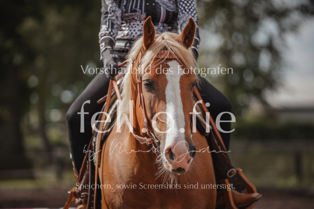 fell.o.fie_mandyjordan_2024_06_01853 | Mandy Klecke Fellfotografie, fell.o.fie Fotografenshop - Realisiert mit Pictrs.com