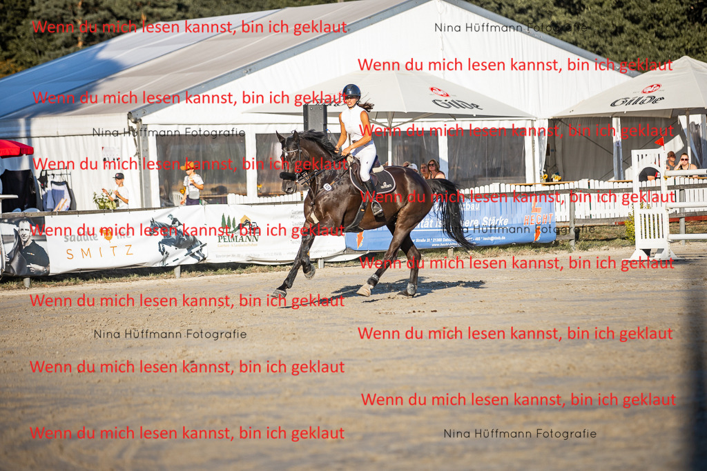 BK1A8827 | Turnierbilder Turnierfotos Nina Hüffmann Turnierfotografie Pferdefotografie Tierzeichnung Haustierzeichnung Pferdezeichnung Hundezeichnung Videograf  - Realisiert mit Pictrs.com