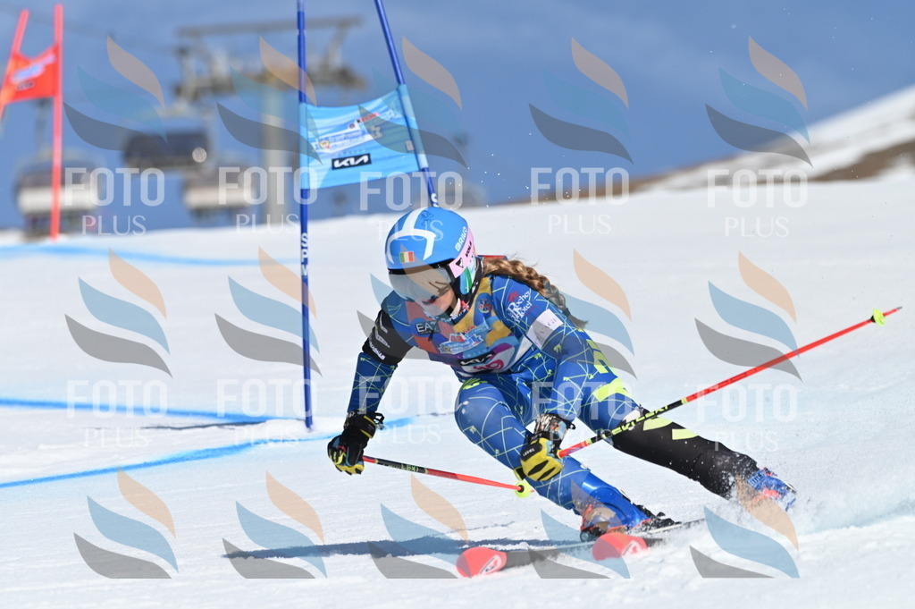 BGV_8522 | holidayphoto