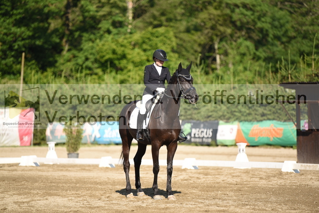 DSC_7017 | equestrian-live-com