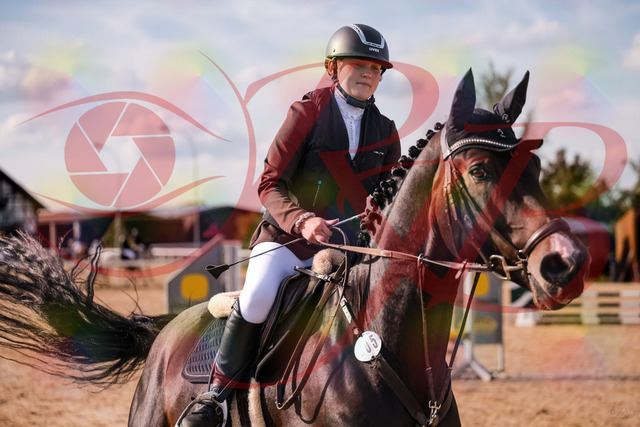 2026_10_03_Siefer-Hof_154235_Z81_60280094 | Professionelle Reitsport-, Turnier- und Eventfotografie von Robert Broda. Galerien mit ausgewählten und bearbeiteten Bildern direkt online ansehen und bestellen.
