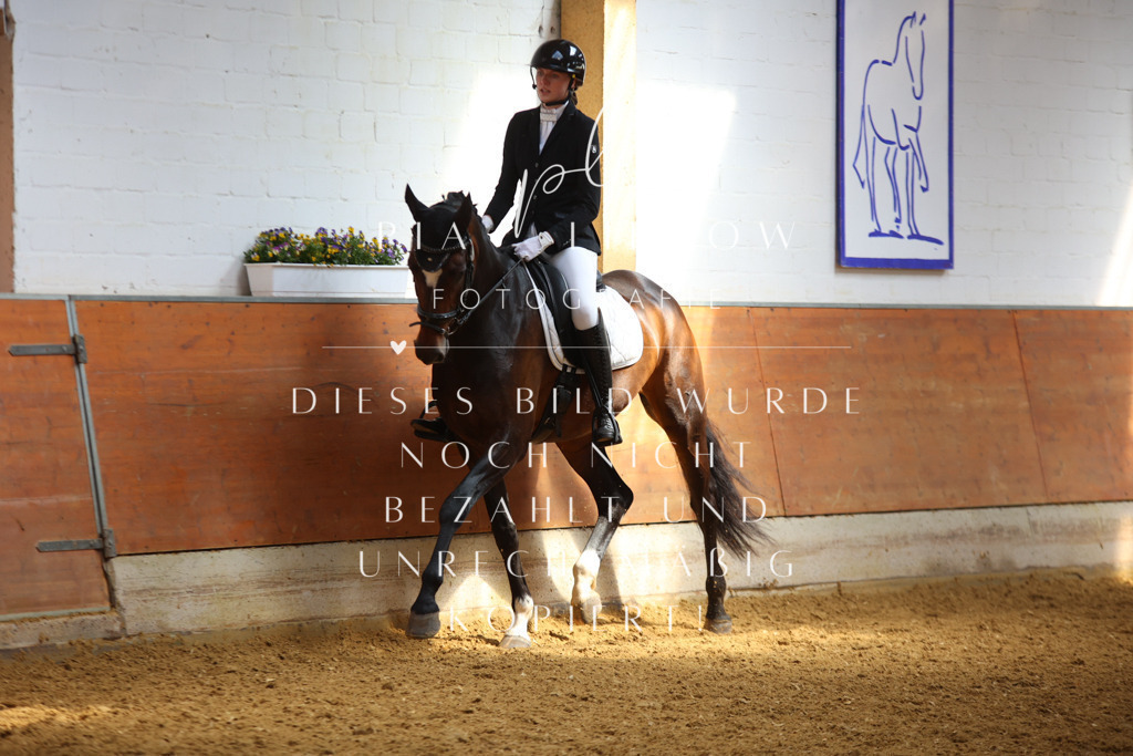 IMGT4322 | pl-fotografie