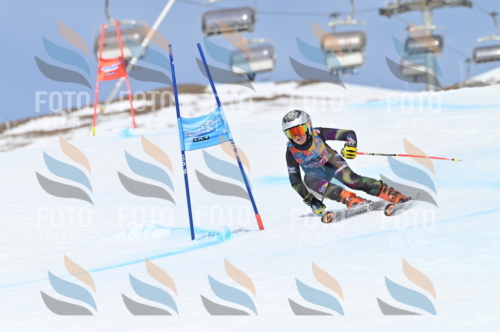 BGV_2197 | holidayphoto