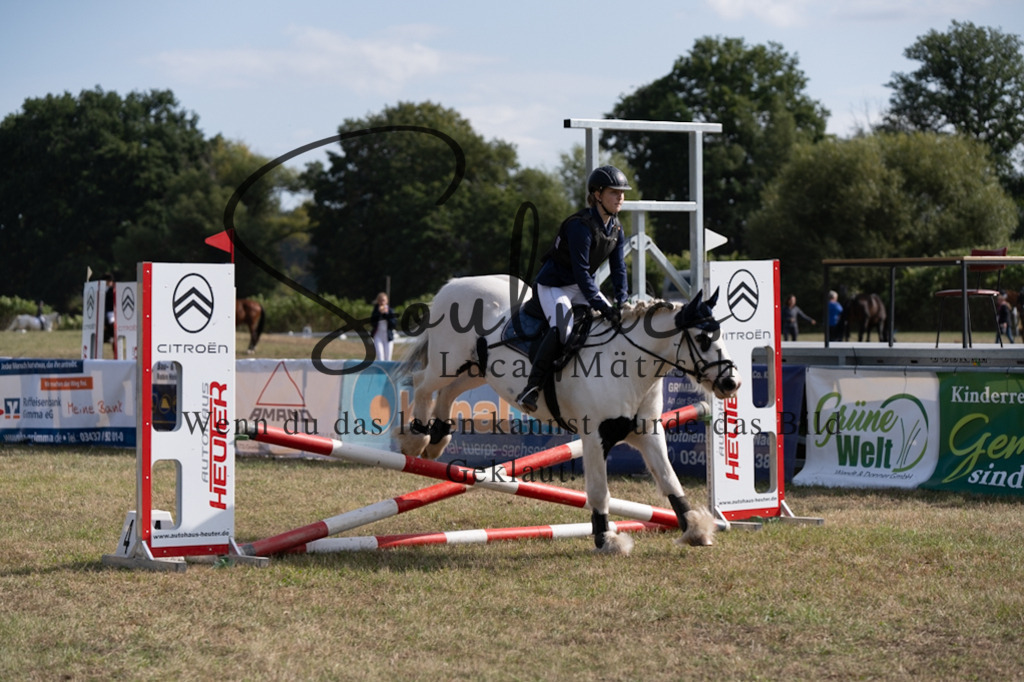 A7V08554 | Pferdefotograf