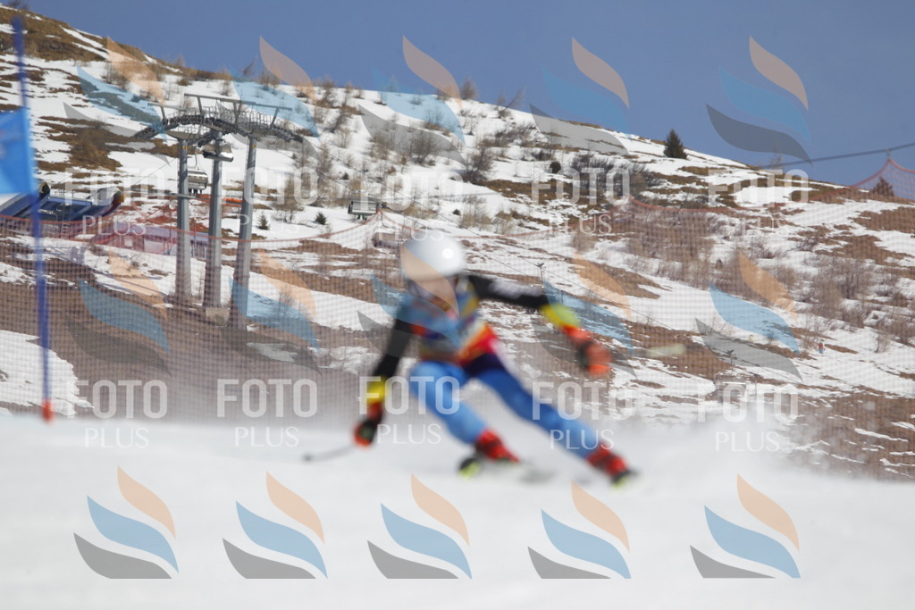 _U3G0310 | holidayphoto