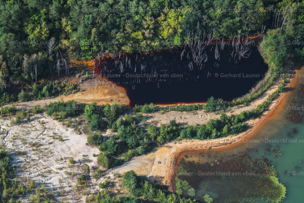 4038946 | BRAUNSBEDRA 08.09.2021 Rekultivierung der ehemaligen Tagebau - Fläche an den Uferbereichen des Sees " Geiseltalsee " in Braunsbedra im Bundesland Sachsen-Anhalt, Deutschland. // Open pit re cultivation on the shores of the lake " Geiseltalsee " in Braunsbedra in the state Saxony-Anhalt, Germany. Foto: Gerhard Launer