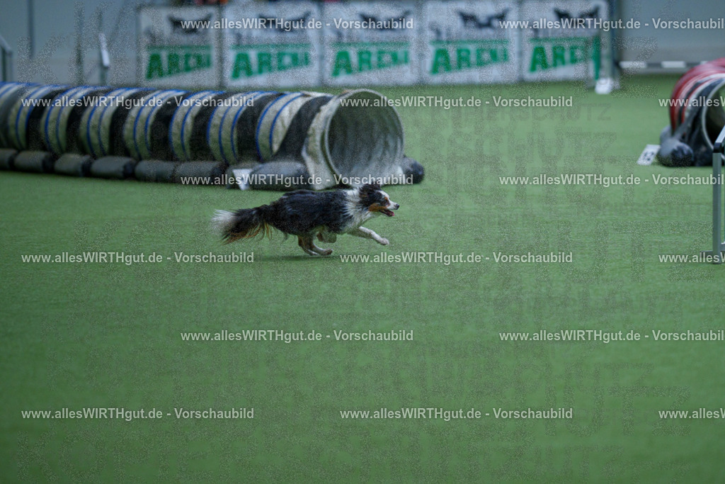 @allesWIRTHgut_Tierfotografie - www.allesWIRTHgut.de - 2604251125-7R500472 | Professionelle Tierfotografie in Mönchengladbach von Daniel Wirth (allesWIRTHgut). Liebevolle & natürliche Bilder von Hunden & Katzen für unvergessliche Erinnerungen.