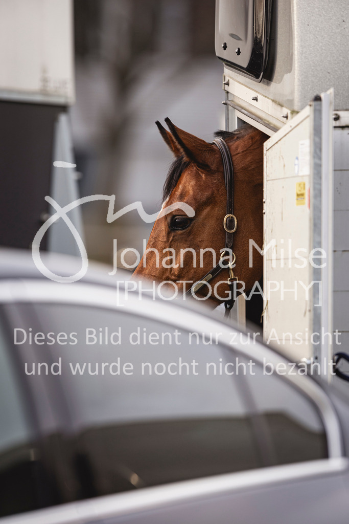 240327_Fruehlingsfest_Stil-L-2-351 | Deine schönsten Turniermomente als professionelle Fotos! Entdecke hochwertige Pferdesport-Fotografie im Online-Shop. Jetzt Fotos finden & bestellen!