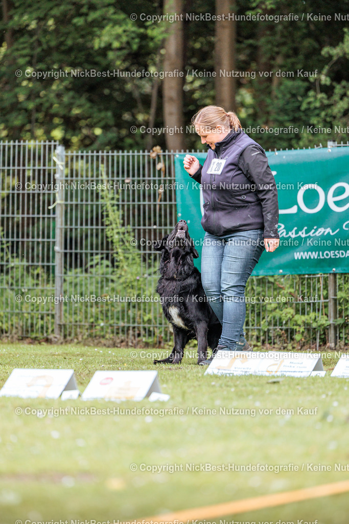 RO-Blumenthal-2026-Nickbest-Hundefotografie-4604 | Dein Hund! Dein Moment! Deine Erinnerungen! Hundefotografie in Bremen Blumenthal. Ich fange die besonderen Momente deines Vierbeiners ein – ob Indoor mit Blitzanlage oder in der freien Natur. Sicher dir dein Moment und dein Termin für eure Erinnerungen.