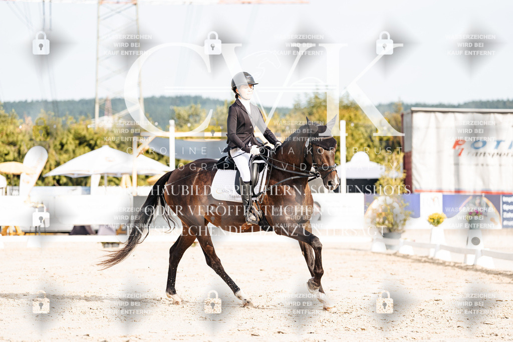 CK903954 | Turnierfotografie Pferdefotografie Trier Rheinland-Pfalz Pferdesport Reitsport Tierfotografie Sportfotografie Pferdevideo Pferdevideografie Equestrianvideography equestrianphotography  - Realisiert mit Pictrs.com