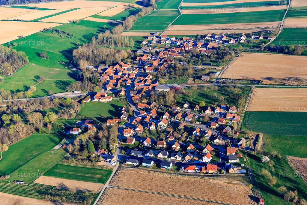 Luftbild: Ortsansicht von Nordwesten in Ingolsheim im Bundesland Bas-Rhin in Frankreich. – Foto: IMG_097787.jpg vom 27.03.2017 durch Werner Riehm/FLY-FOTO.de – Auflösung des Originals: 5309 x 3539 px