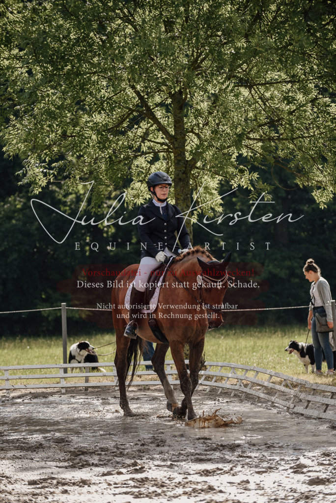 DSC_8858 | Pferde- und Turnierfotografie in Westsachsen. Pferdeportraits, Auftragszeichnungen und intuitive Kunst.