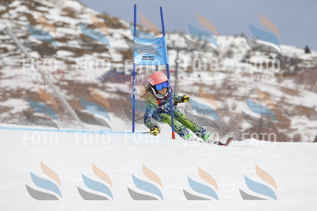 _U3G1794 | holidayphoto