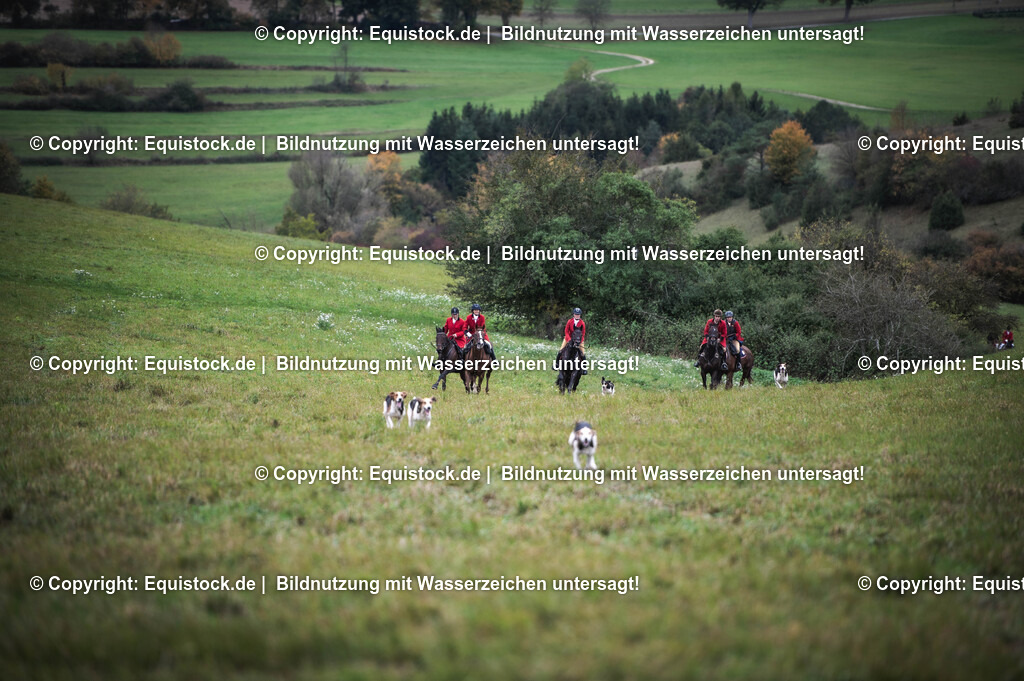 20241013_Jagd-Marbach_0206 | Foto: Thomas Hartig