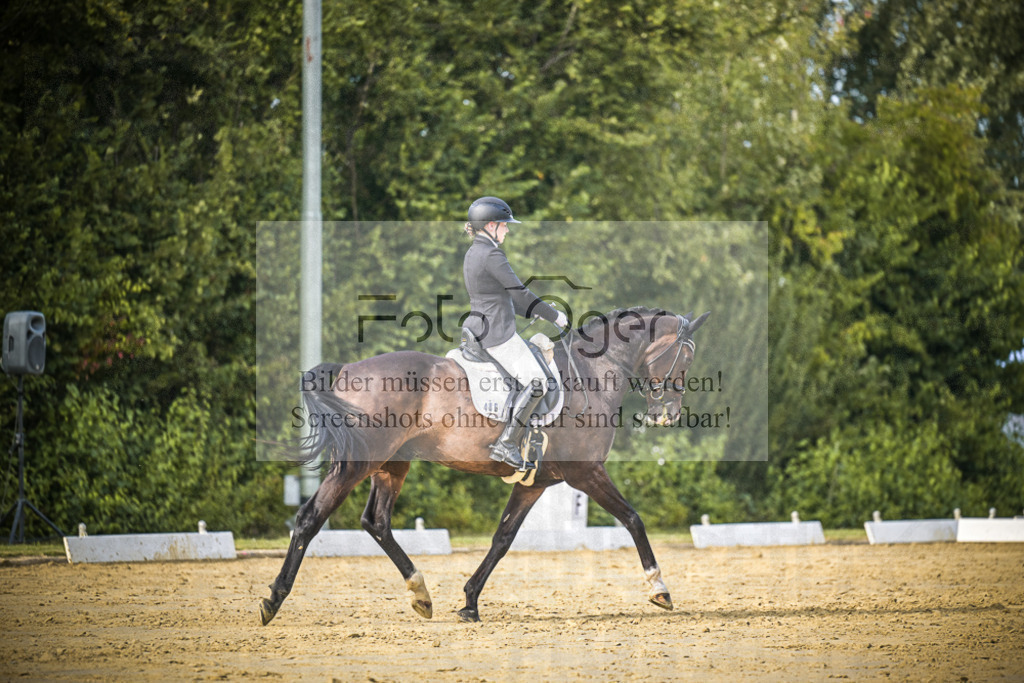 DOS_8712 | Entdecke hochwertige Reitturnierfotos von Foto Oger. Professionell, emotional und authentisch – jetzt Lieblingsmomente im Shop bestellen.Deutschlandweite Turnierfotografie. - Realisiert mit Pictrs.com