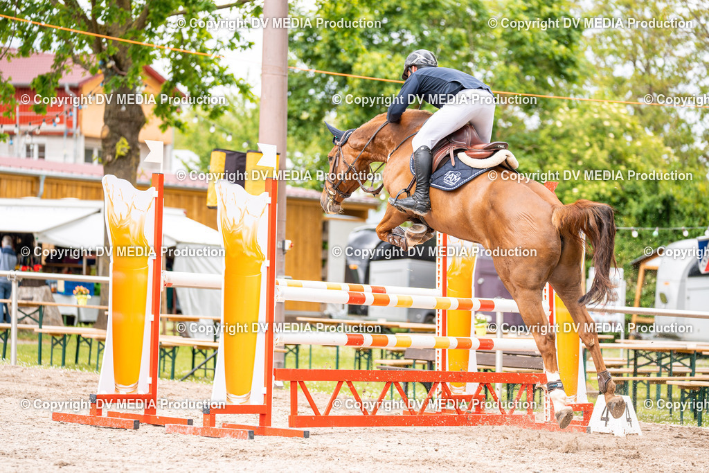 Eppelheim Tag 1-127 | dv-media-shop - Realisiert mit Pictrs.com