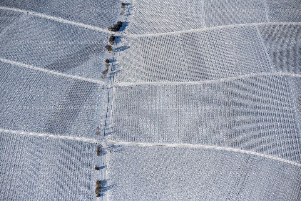 4043302 | winterliche Weinbergstrukturen auf der Weininsel zw. Schwarzach und Nordheim, Weinlage Vögelein NORDHEIM AM MAIN 13.02.2021 Winterlich schneebedeckte Felder einer Weinbergs- Landschaft der Winzer- Gebiete in Nordheim am Main im Bundesland Bayern, Deutschland. // Wintry snowy fields of wine cultivation landscape in Nordheim am Main in the state Bavaria, Germany. Foto: Gerhard Launer