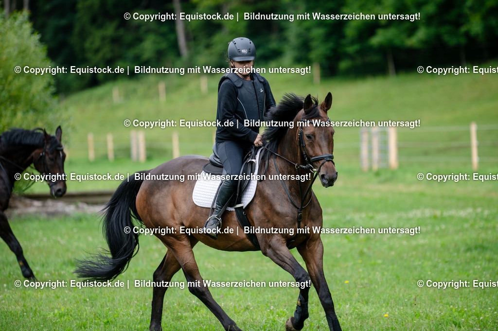 20250725_Vielseitigkeitslehrgang-Marbach_0085 | Foto: Thomas Hartig