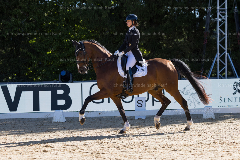 FHC2026_P07_80_17353 | working equitationturnier fotograf videograf stoibphotography marixx film working equitation deutschland reitsport turnierfotografie eventfotografie equestrian events