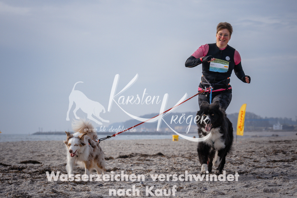 1020_ZZ94880 | kk-dogfotos