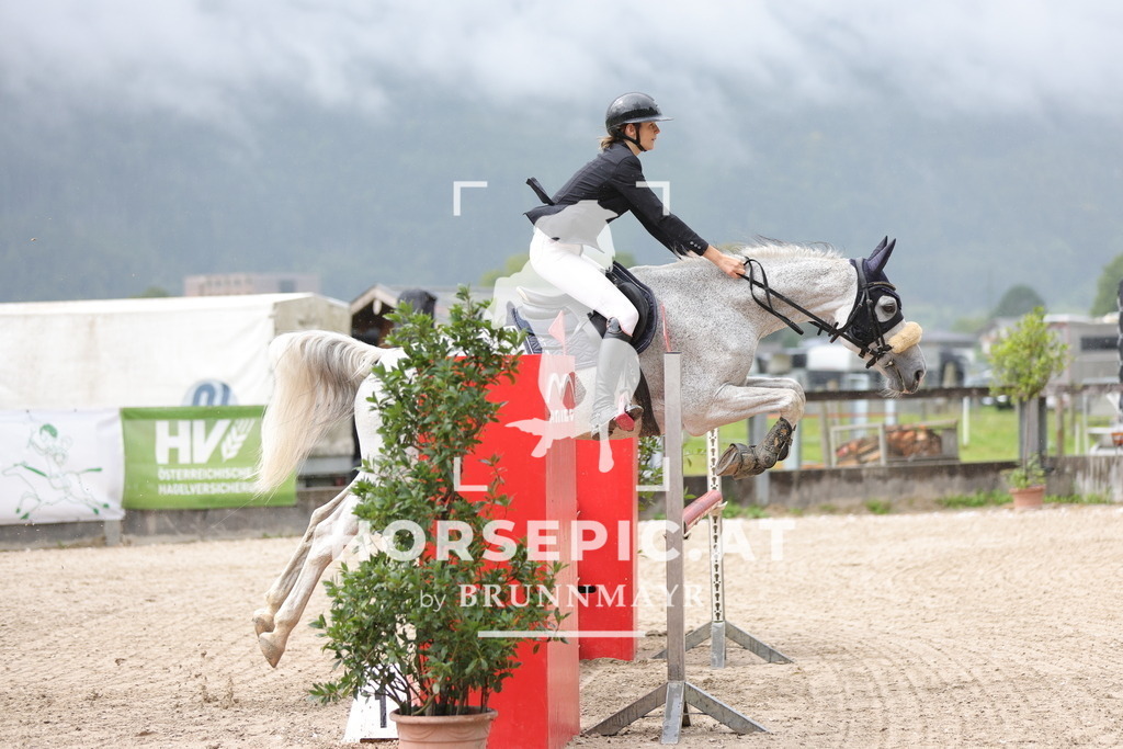 0P6A1628 | Willkommen bei Brunnmayr - Design & Fotografie – Ihrem Spezialisten für Reitturniere und Pferdeveranstaltungen in Oberösterreich, Salzburg und Bayern! Seit über 17 Jahren sind wir leidenschaftlich dabei.