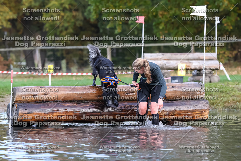 Dog Paparazzi - Strongdog 10-25-6929 | Dog Paparazzi Jeanette Grottendiek Fotografie & Videografie - Realisiert mit Pictrs.com