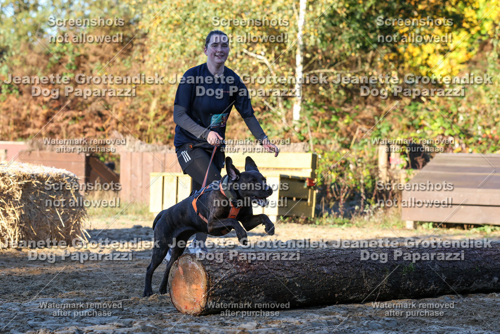 Dog Paparazzi - Strongdog 10-25-806 | Dog Paparazzi Jeanette Grottendiek Fotografie & Videografie - Realisiert mit Pictrs.com