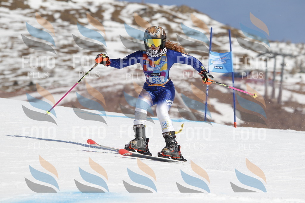 _U3G0052 | holidayphoto