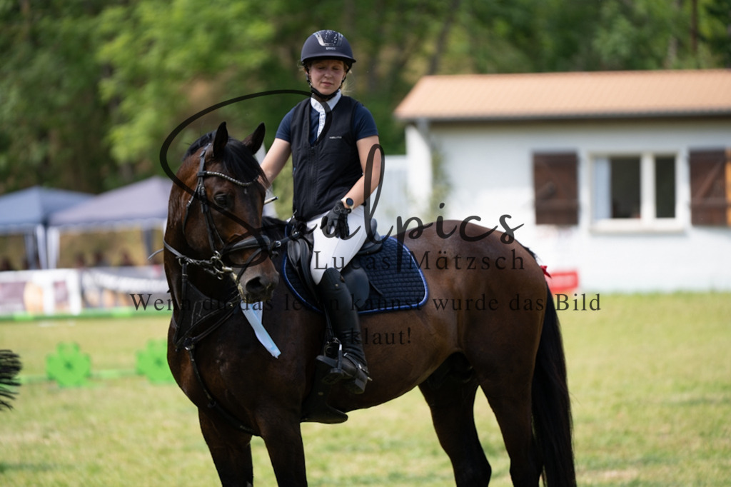 A7V07528 | Pferdefotograf