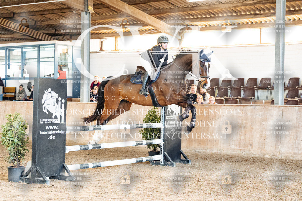 CK905193 | Turnierfotografie Pferdefotografie Trier Rheinland-Pfalz Pferdesport Reitsport Tierfotografie Sportfotografie Pferdevideo Pferdevideografie Equestrianvideography equestrianphotography  - Realized with Pictrs.com