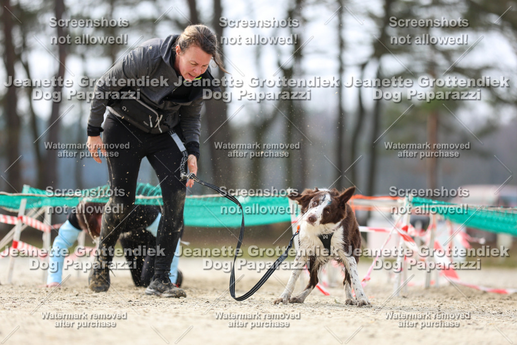 Dog Paparazzi - Strongdog North Mrz26-5312 | Dog Paparazzi Jeanette Grottendiek Fotografie & Videografie - Realisiert mit Pictrs.com