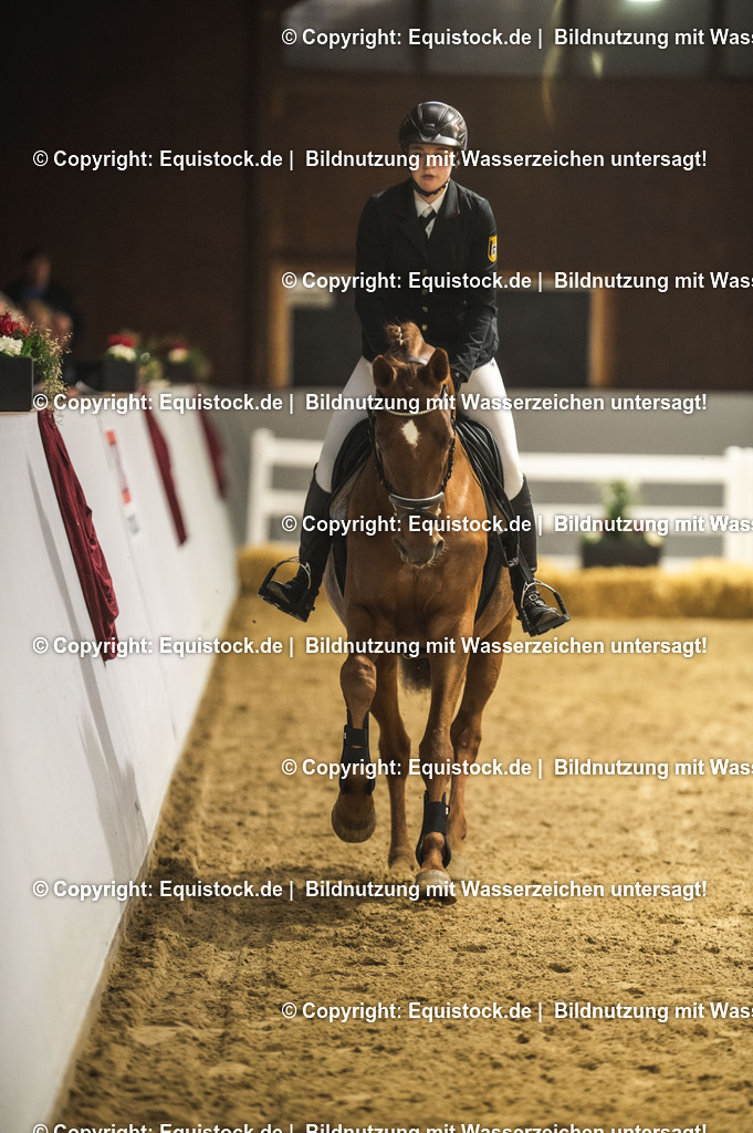 20240302_Hengstvorstellung_Marbach_TOMsPiC_1339 | equistock