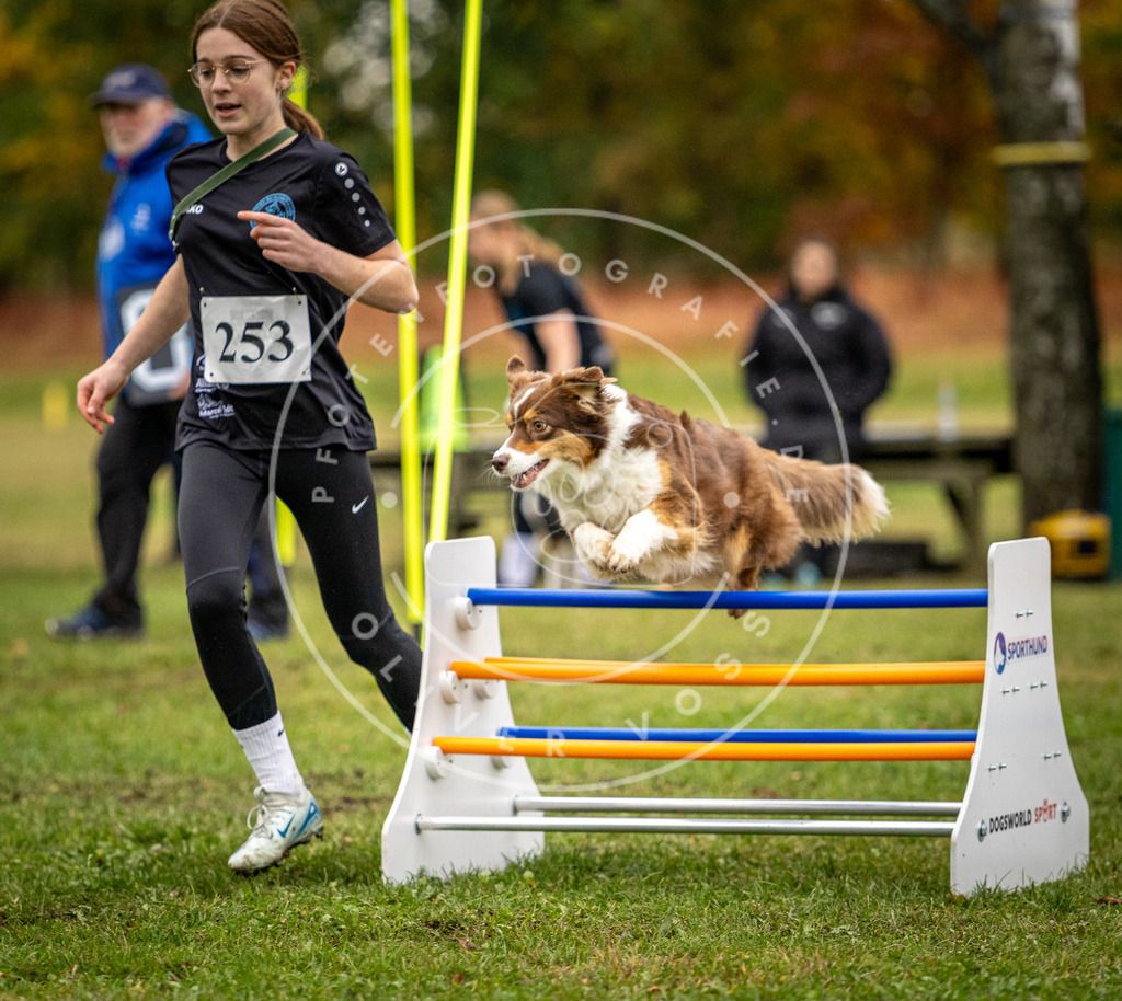 Pfotenfotografie_DV3A0422 | Hundefotografie, Tierfotograf, Pfotenfotografie, Fotoshooting Hund, Hunde Portrait, Hundesport, Hundeportraits, Heideshooting, Hunde, Sportfotograf, Hundefotograf, Turnierhundsport, THS,  - Realisiert mit Pictrs.com