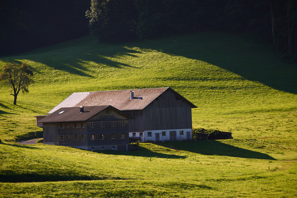 Bauernhaus im Morgenlicht | Schwarzenberg, Austria - August 04, 2014: Bauernhaus im Morgenlicht. - Realisiert mit Pictrs.com
