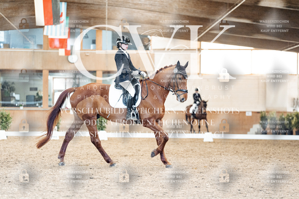 CK908746 | Turnierfotografie Pferdefotografie Trier Rheinland-Pfalz Pferdesport Reitsport Tierfotografie Sportfotografie Pferdevideo Pferdevideografie Equestrianvideography equestrianphotography  - Realized with Pictrs.com
