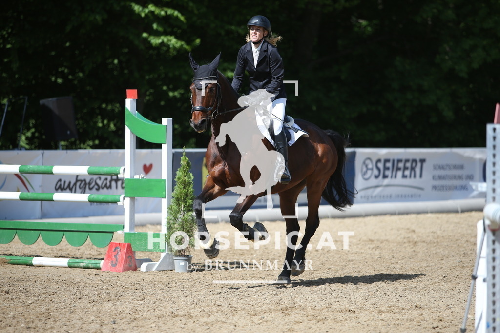 PP011276 | Willkommen bei Brunnmayr - Design & Fotografie – Ihrem Spezialisten für Reitturniere und Pferdeveranstaltungen in Oberösterreich, Salzburg und Bayern! Seit über 17 Jahren sind wir leidenschaftlich dabei.